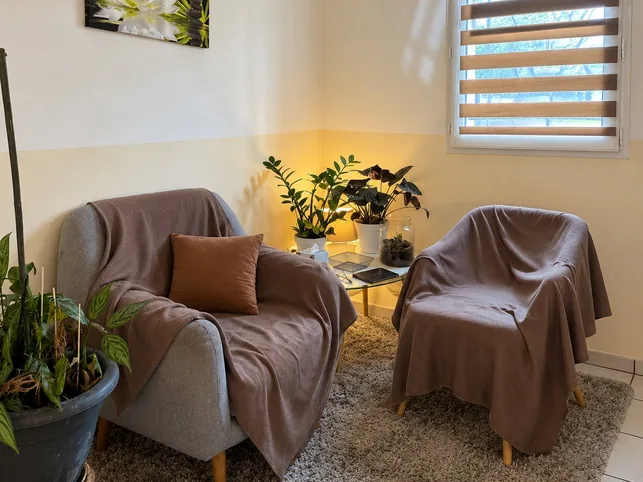 Les deux fauteuils du cabinet de Frédéric Garcia à Saint-Marcel-lès-Valence